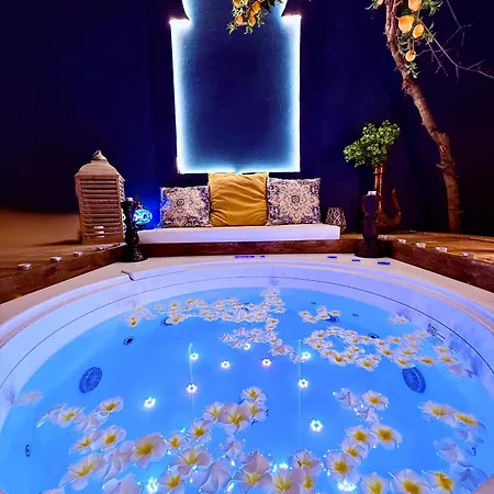 Ama Esclusive Ariosto *